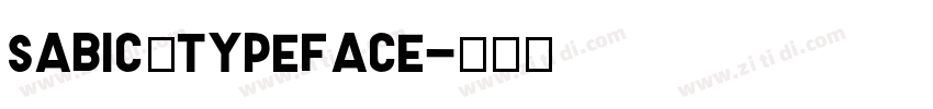 SABIC Typeface字体转换